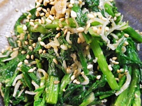 じゃこ春菊のゴマポン酢あえ